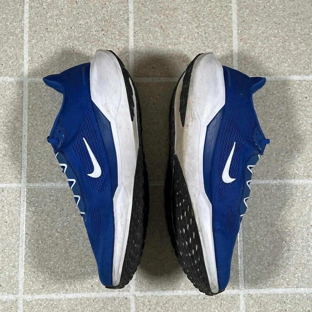 Nike Air Zoom Pegasus 41 Royal Blue Running Shoes Men's Size 11 HF1536-403